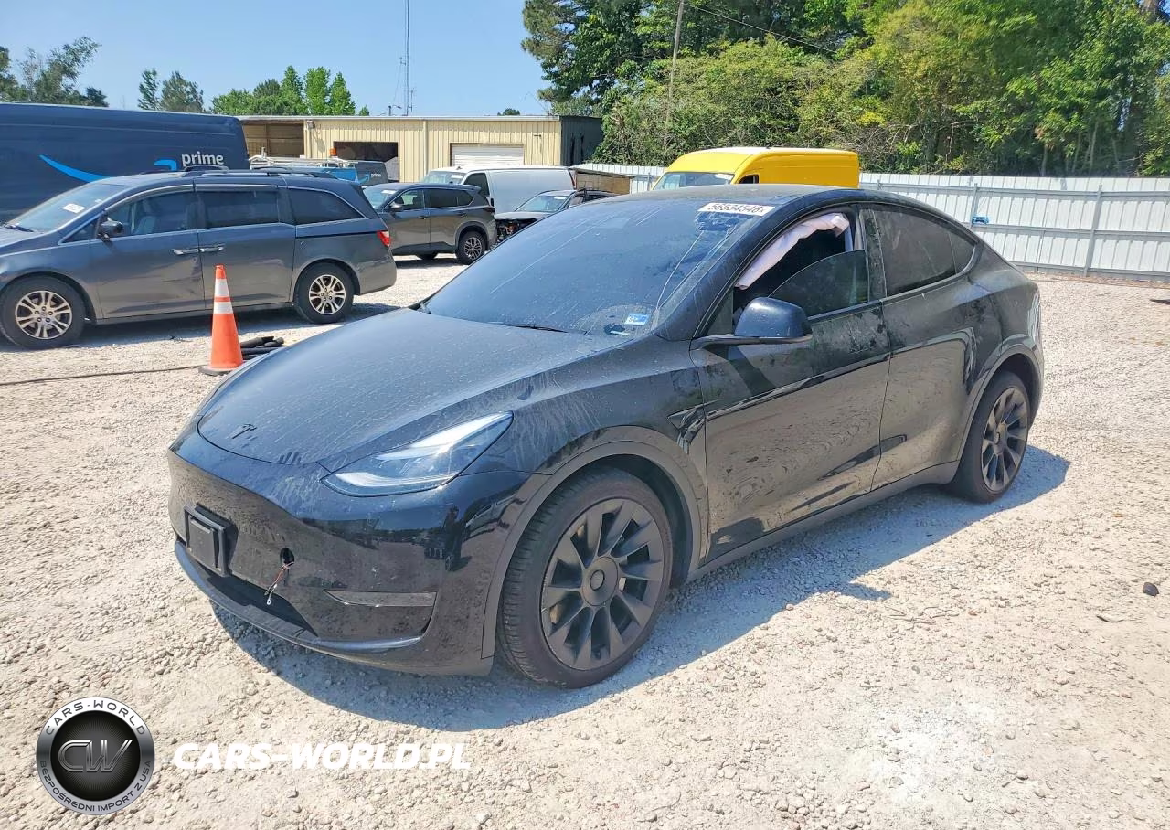 2024 Tesla Model Y VIN:7SAYGDEE2RA219180 - 1