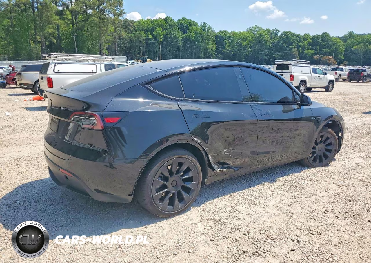 2024 Tesla Model Y VIN:7SAYGDEE2RA219180 - 3