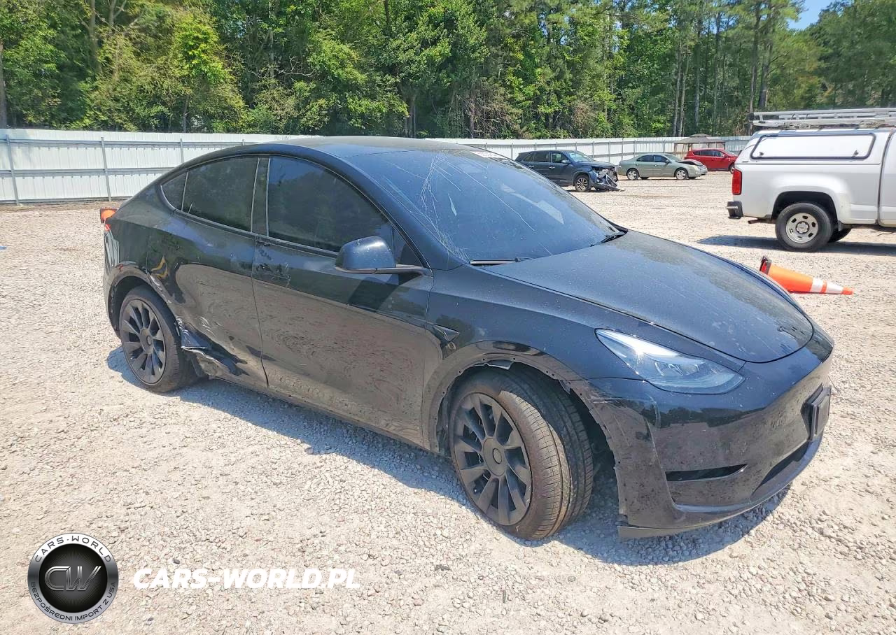 2024 Tesla Model Y VIN:7SAYGDEE2RA219180 - 4