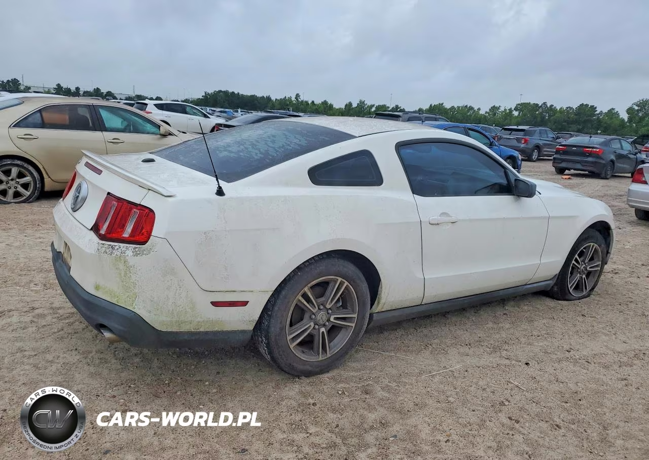 2010 Ford Mustang VIN:1ZVBP8ANXA5107541 - 3