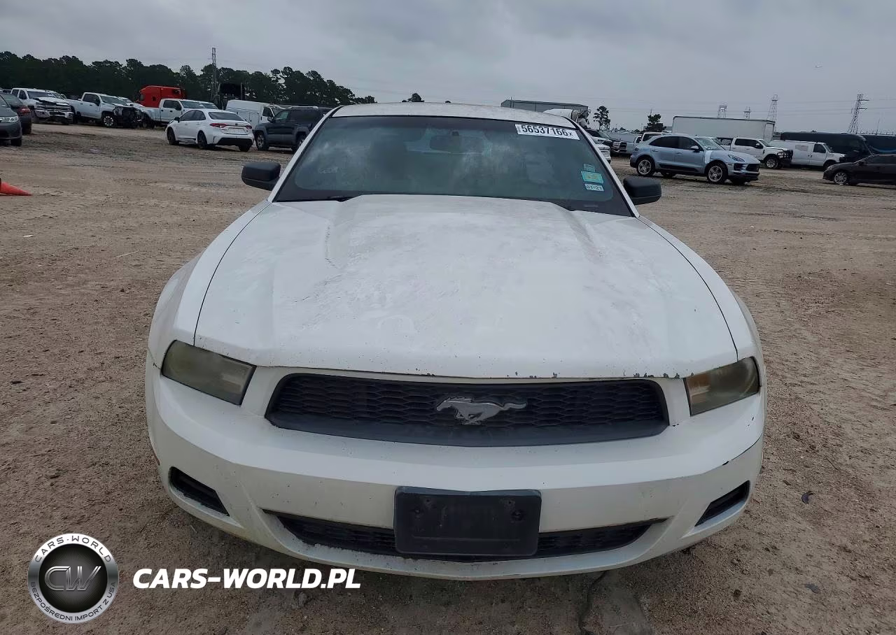 2010 Ford Mustang VIN:1ZVBP8ANXA5107541 - 5
