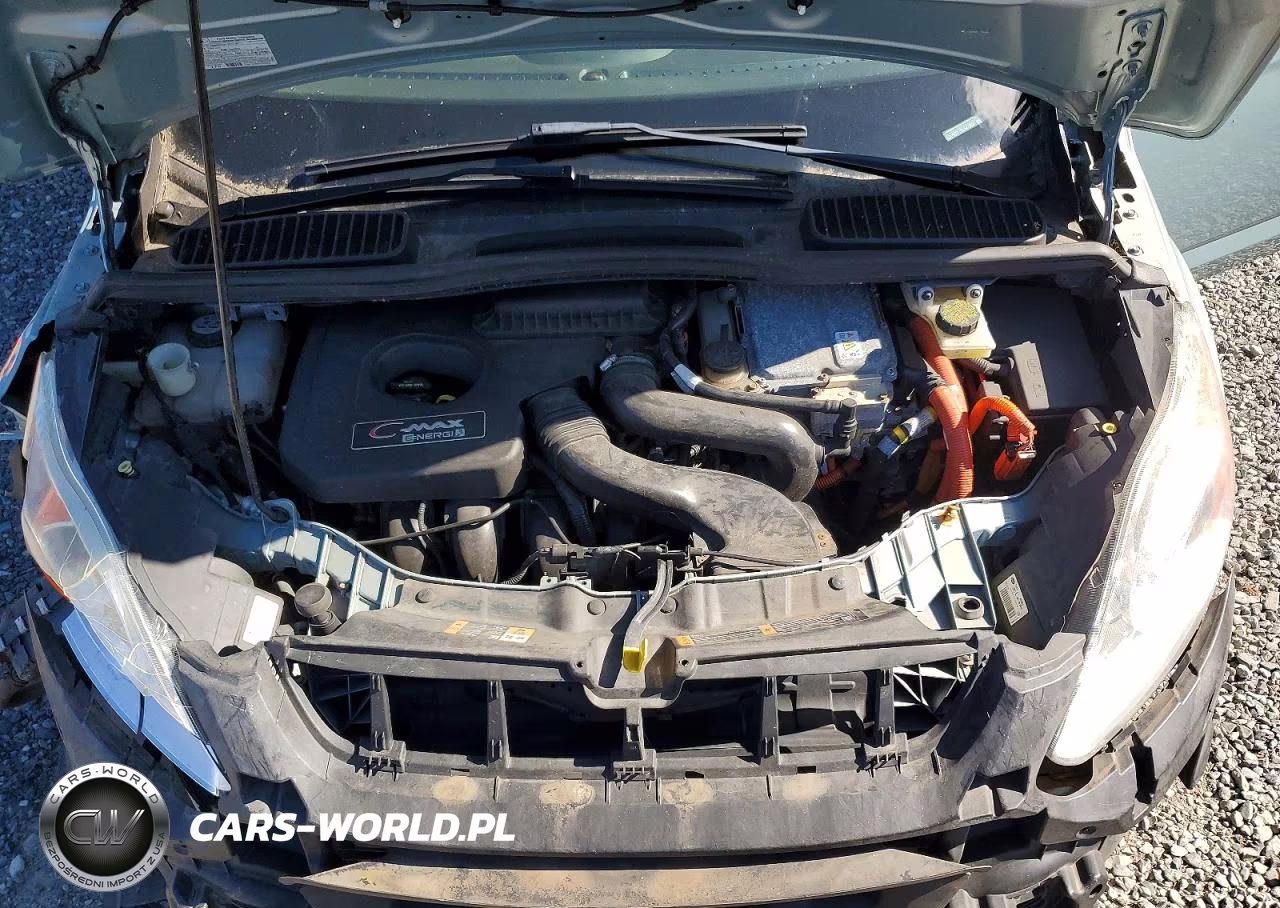 2013 Ford C-Max Premium VIN:1FADP5CU1DL541903 - 11