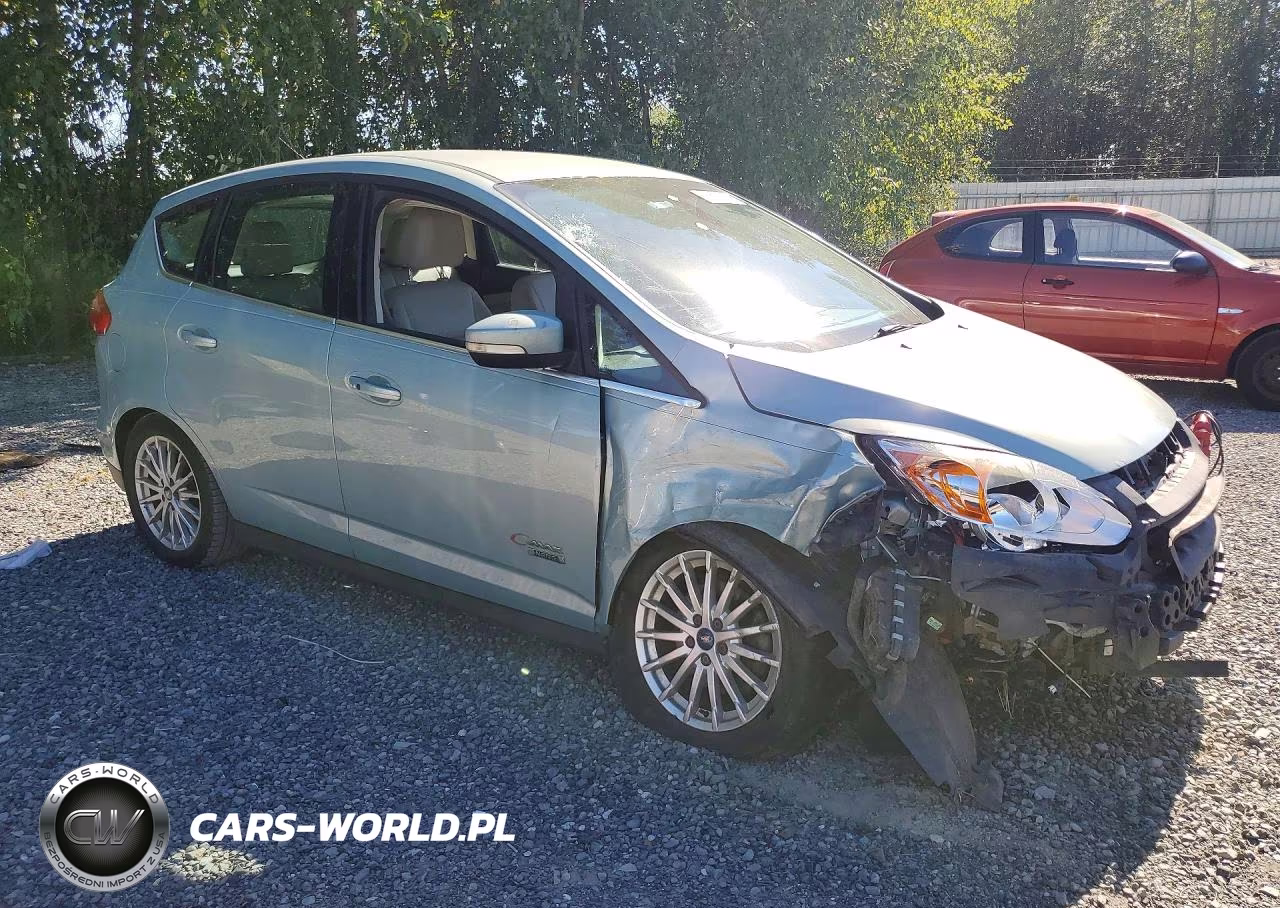2013 Ford C-Max Premium VIN:1FADP5CU1DL541903 - 4