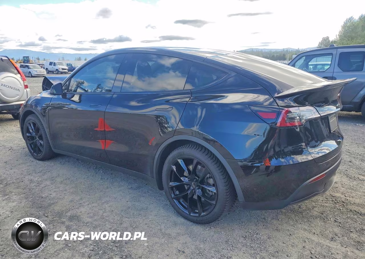 2020 Tesla Model Y VIN:5YJYGDEE8LF025826 - 2