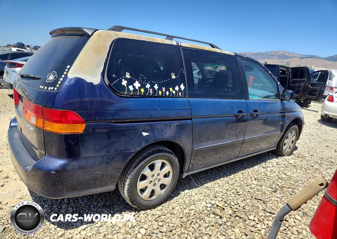 2004 Honda Odyssey Exl VIN:5FNRL18994B114156 - 3