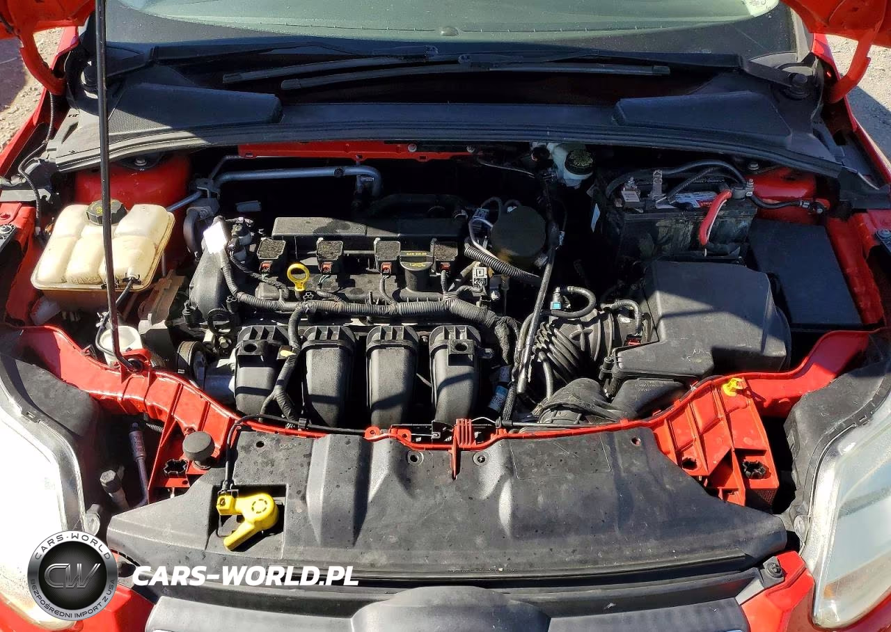 2014 Ford Focus Se VIN:1FADP3K28EL176738 - 11