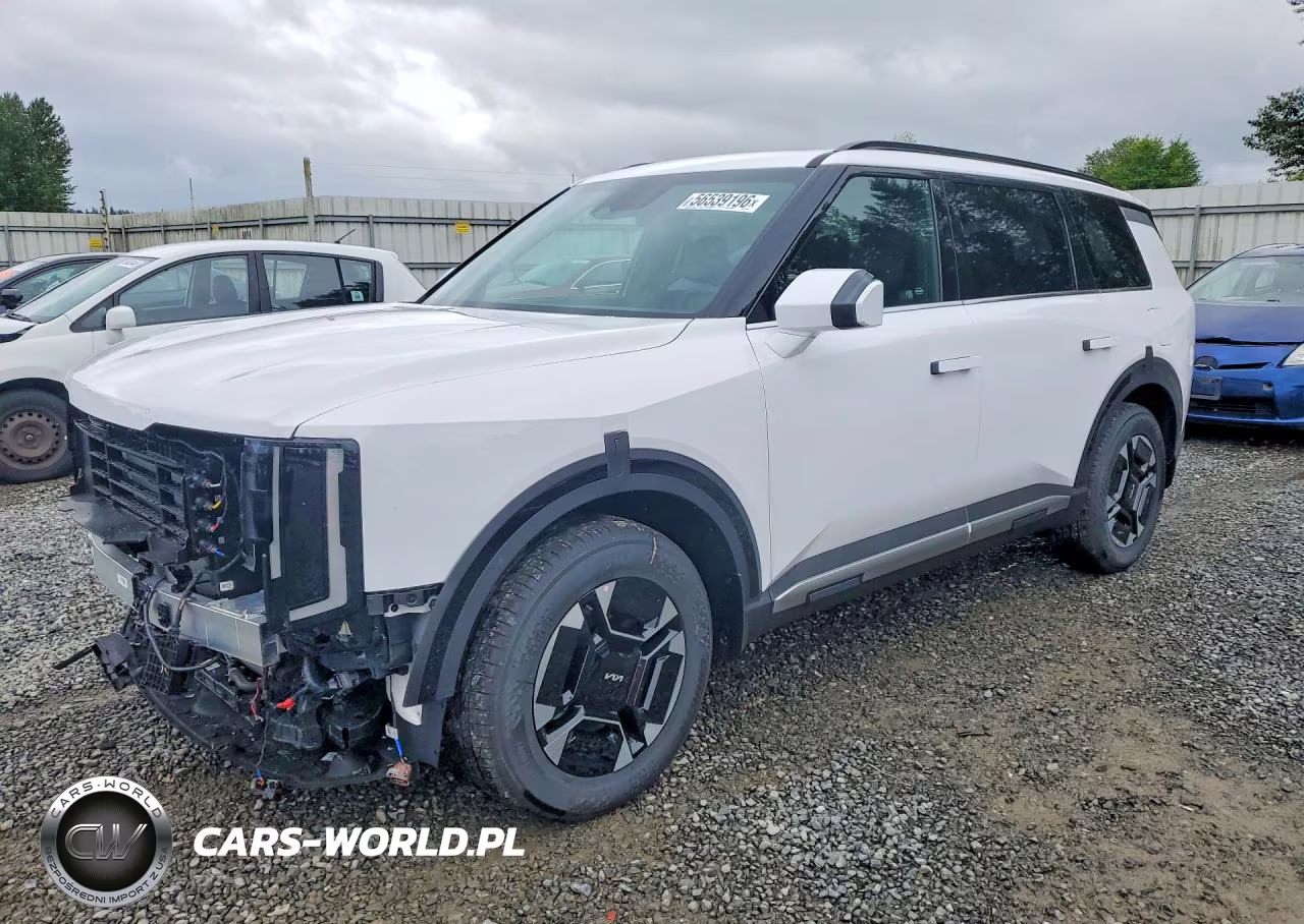 2027 Kia Telluride Ex VIN:5XYPCESA2VG012337 - 1