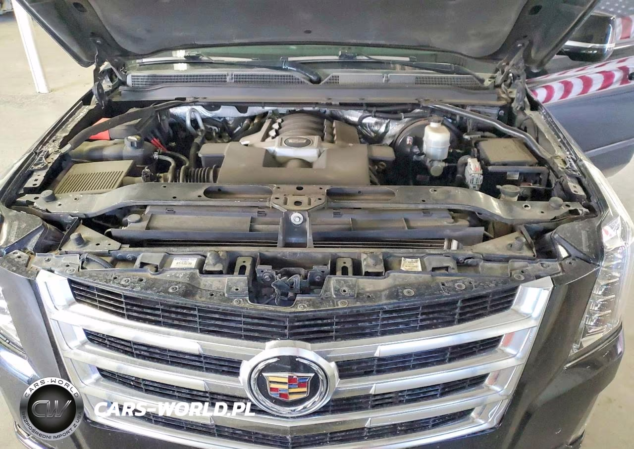 2016 Cadillac Escalade Platinum VIN:1GYS4DKJ9GR215712 - 12
