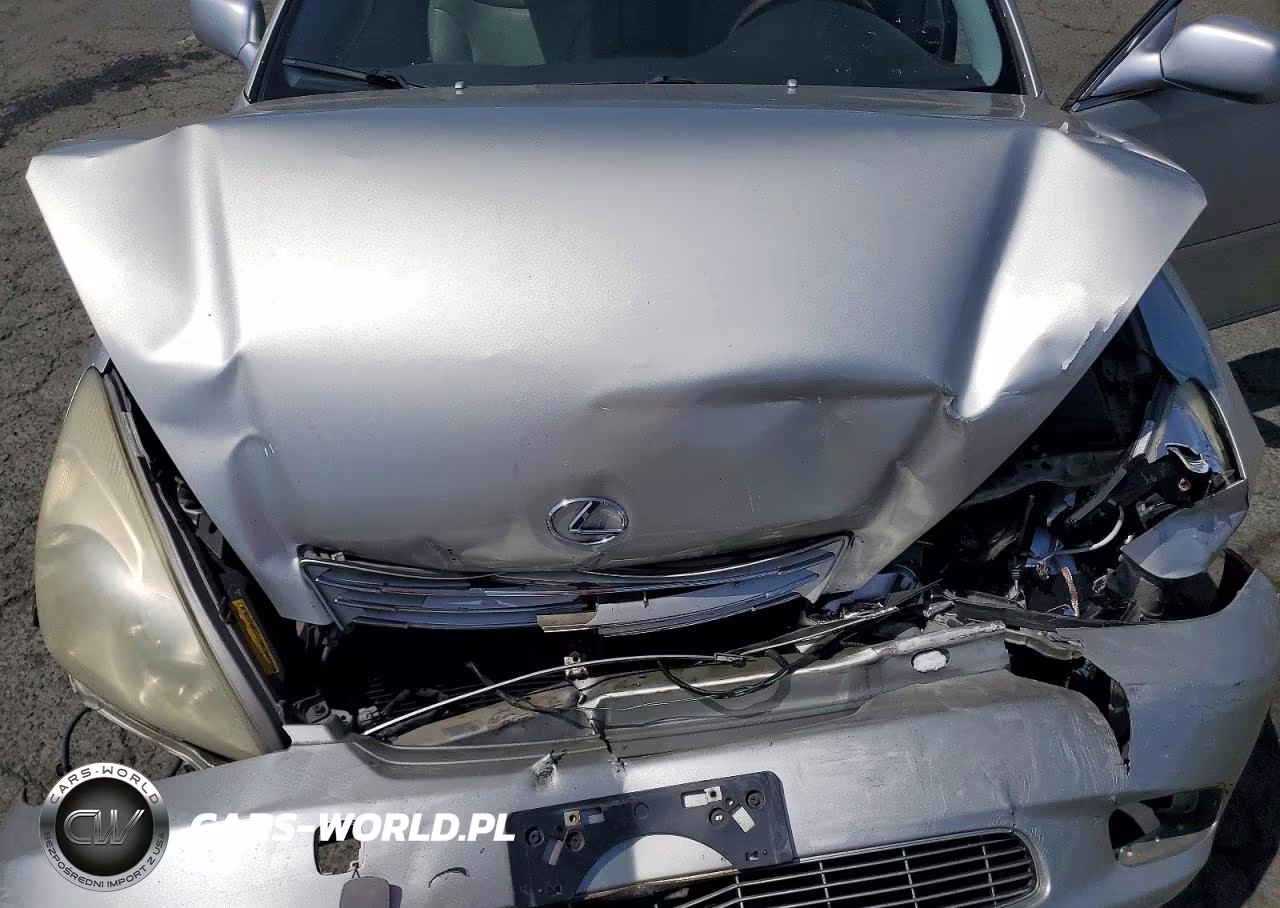 2004 Lexus Es 330 VIN:JTHBA30GX45003998 - 11