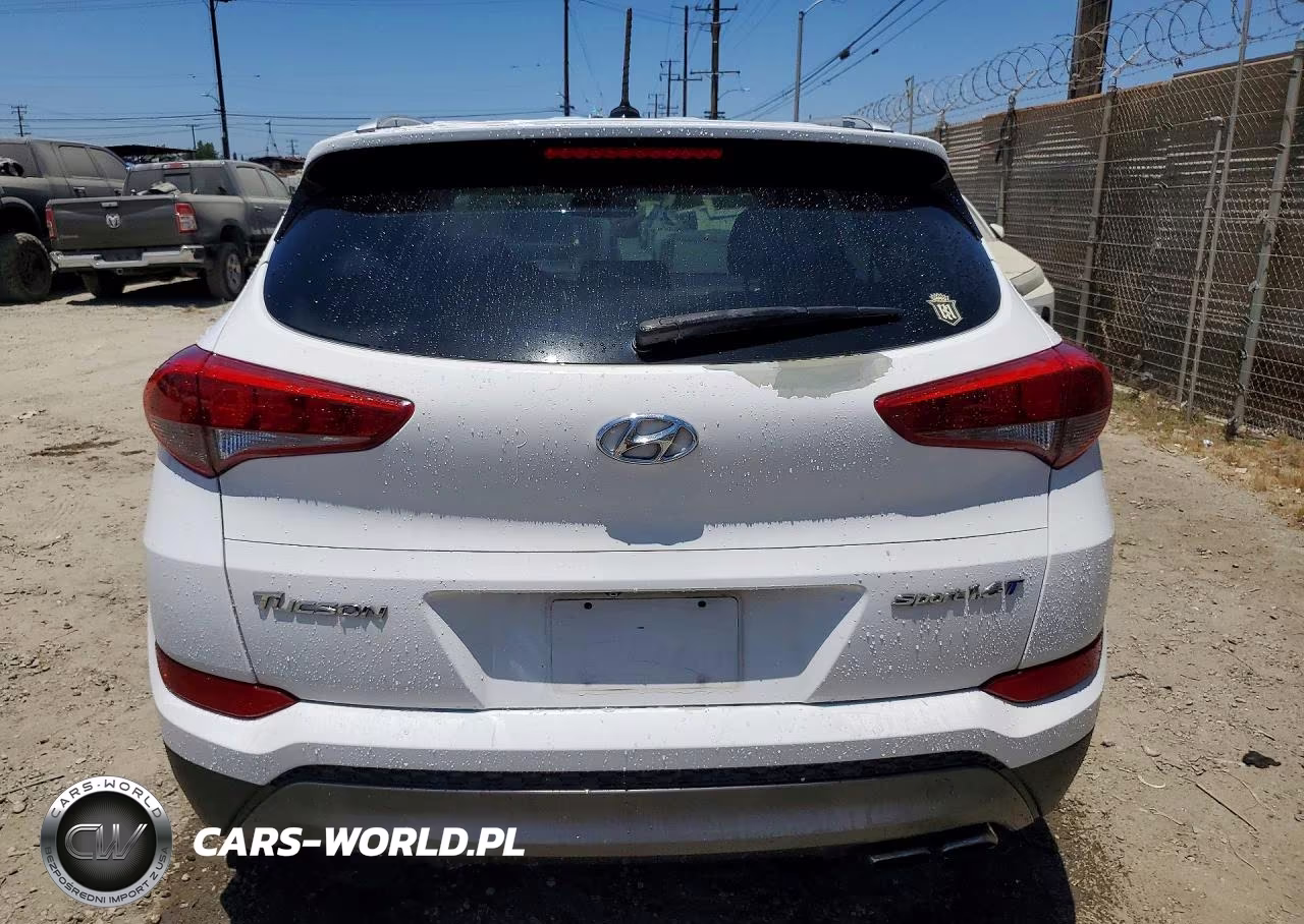 2016 Hyundai Tucson Sport VIN:KM8J33A20GU194928 - 6