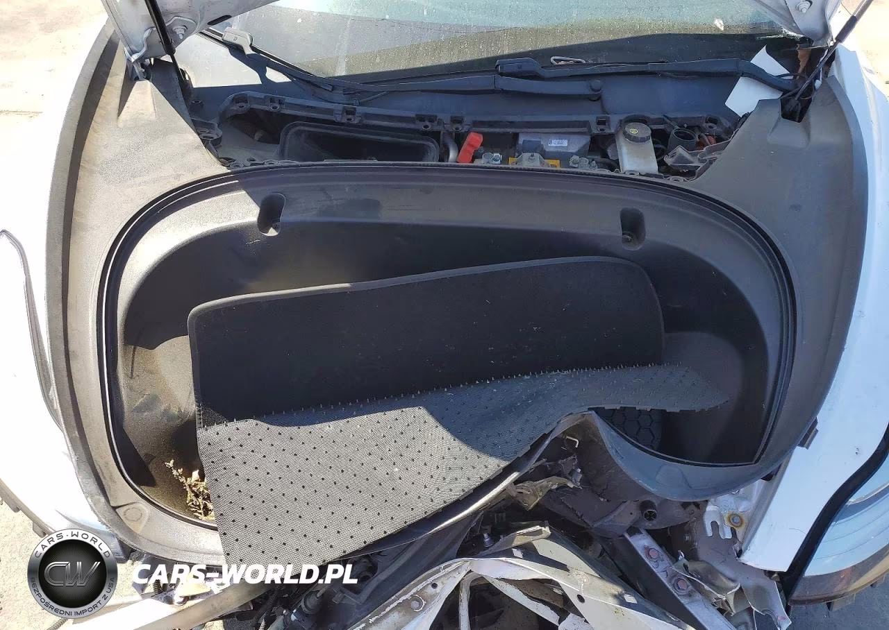 2019 Tesla Model 3 VIN:5YJ3E1EA4KF346319 - 11