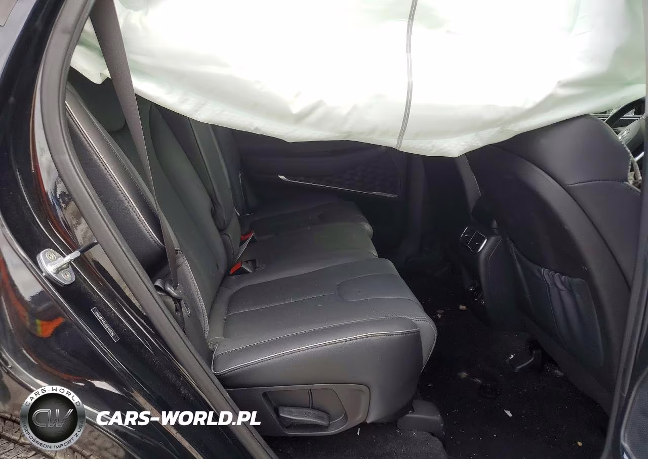 2022 Hyundai Santa Fe Limited VIN:5NMS44AL6NH417062 - 11