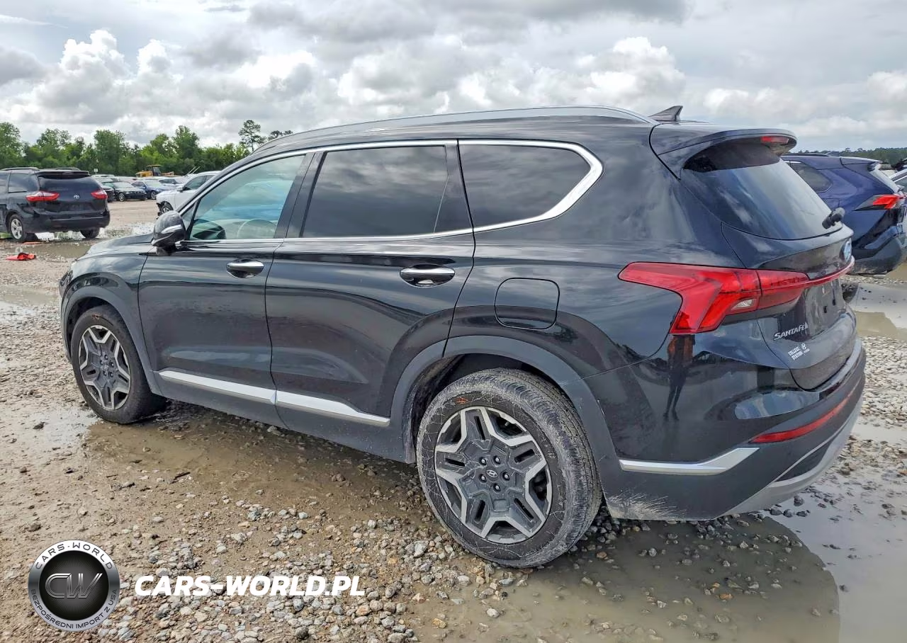 2022 Hyundai Santa Fe Limited VIN:5NMS44AL6NH417062 - 2