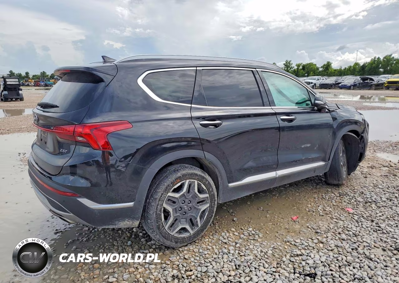 2022 Hyundai Santa Fe Limited VIN:5NMS44AL6NH417062 - 3