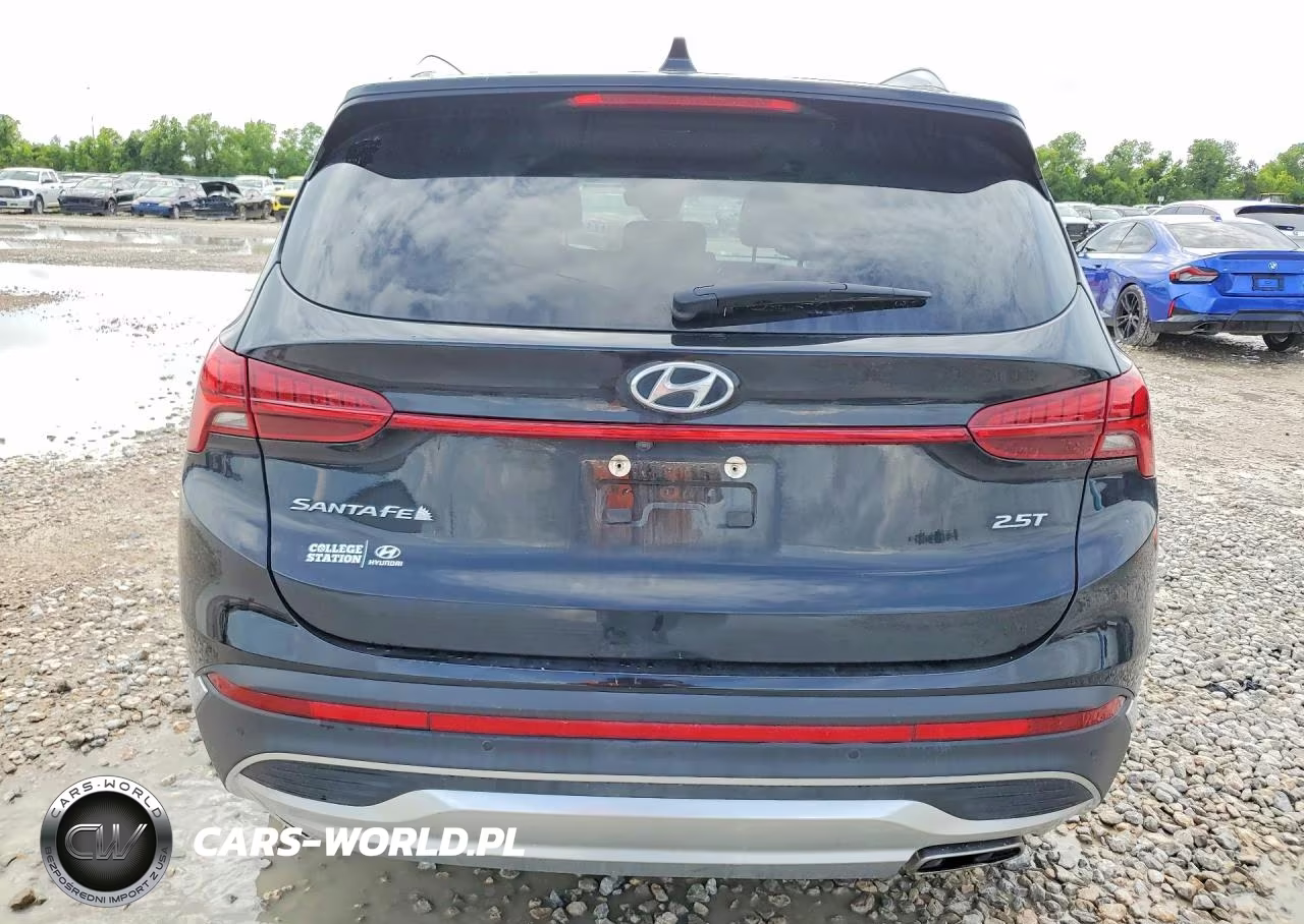 2022 Hyundai Santa Fe Limited VIN:5NMS44AL6NH417062 - 6