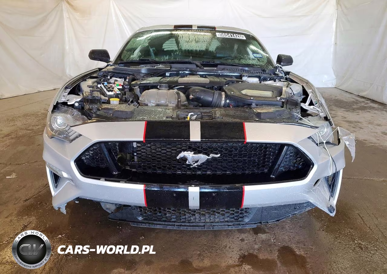 2019 Ford Mustang Gt VIN:1FA6P8CF9K5151211 - 5