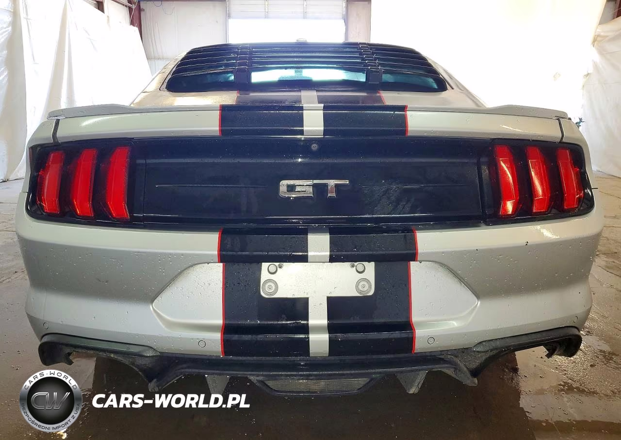 2019 Ford Mustang Gt VIN:1FA6P8CF9K5151211 - 6