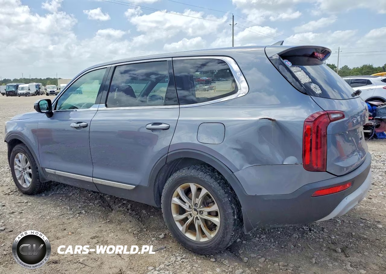 2020 Kia Telluride Lx VIN:5XYP24HC8LG010580 - 2