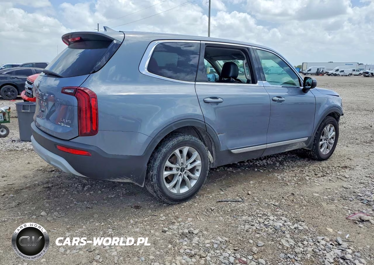 2020 Kia Telluride Lx VIN:5XYP24HC8LG010580 - 3