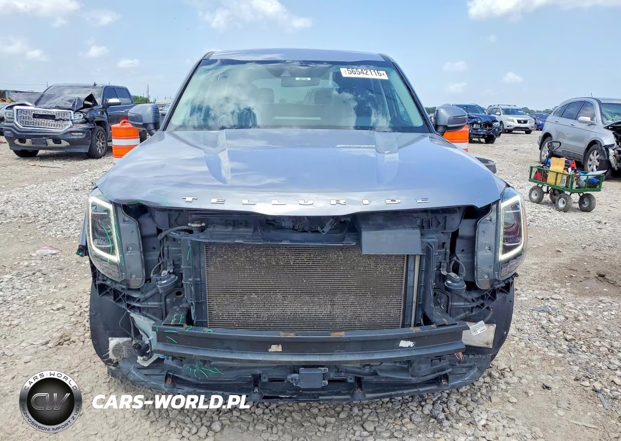 2020 Kia Telluride Lx VIN:5XYP24HC8LG010580 - 5