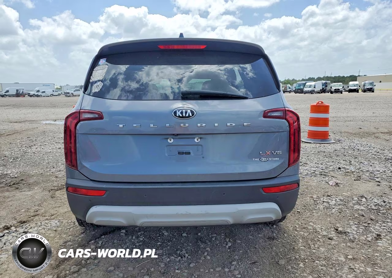 2020 Kia Telluride Lx VIN:5XYP24HC8LG010580 - 6