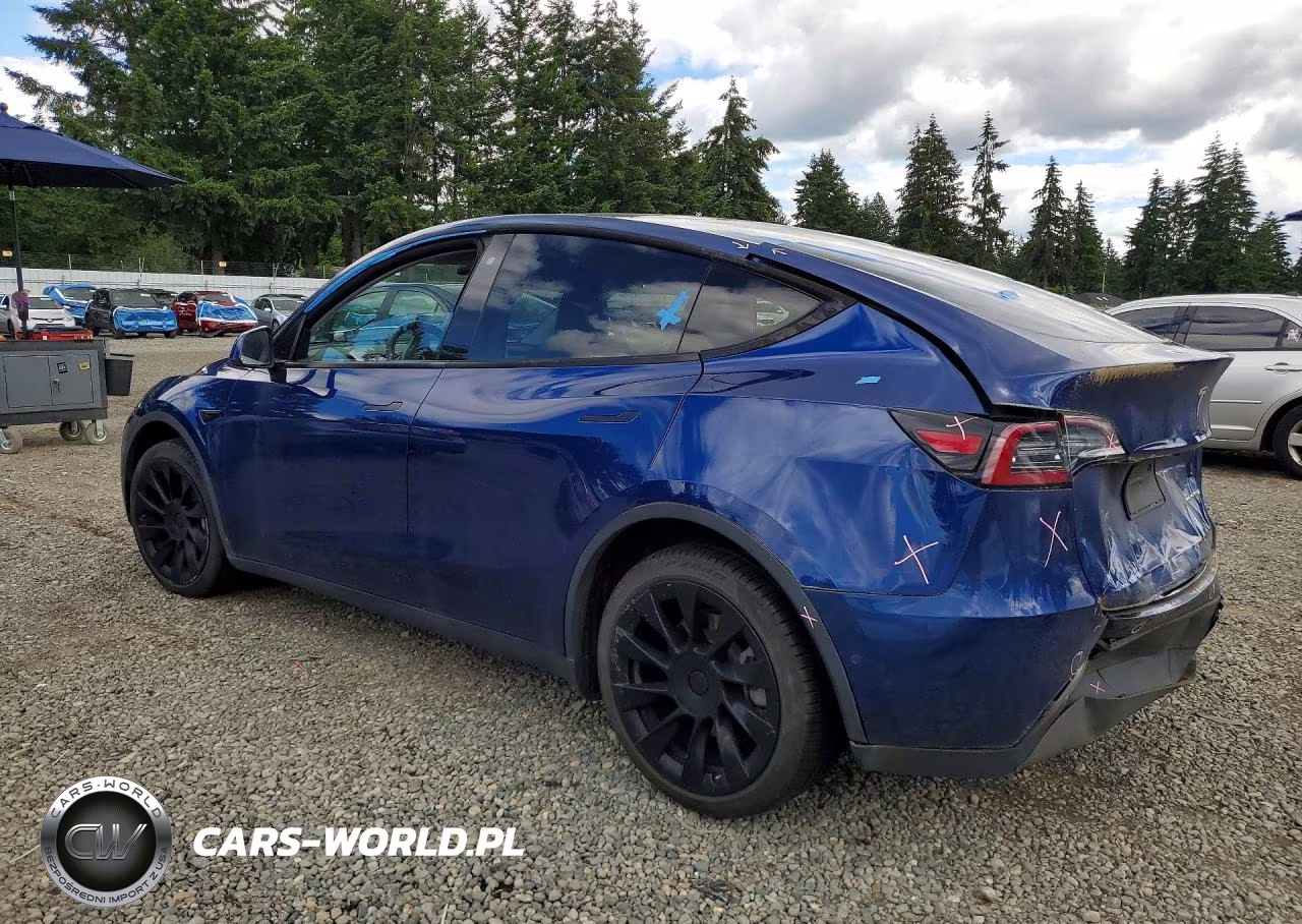 2020 Tesla Model Y VIN:5YJYGDEF3LF002298 - 2
