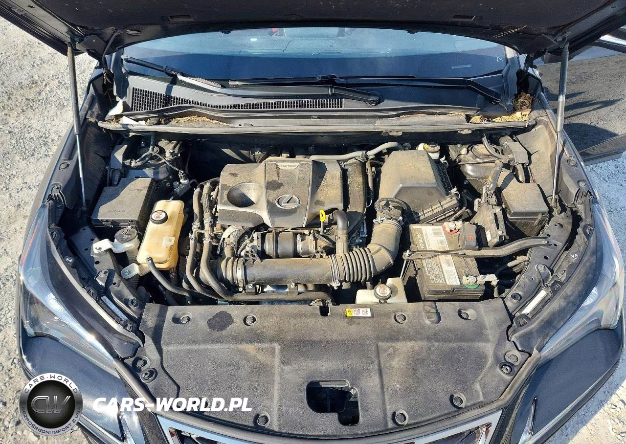 2020 Lexus Nx 300 F Sport VIN:JTJSARDZ0L5001897 - 12