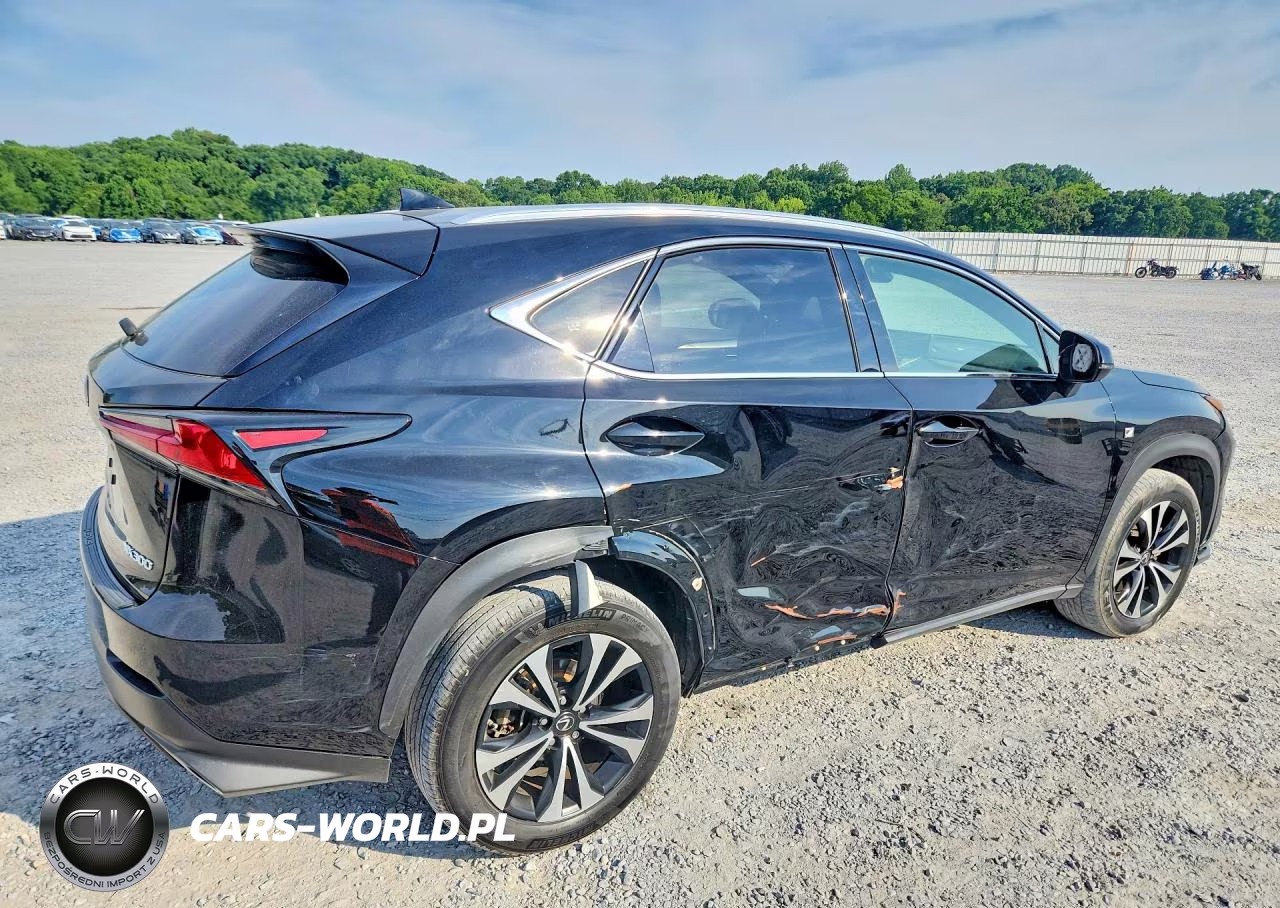 2020 Lexus Nx 300 F Sport VIN:JTJSARDZ0L5001897 - 3