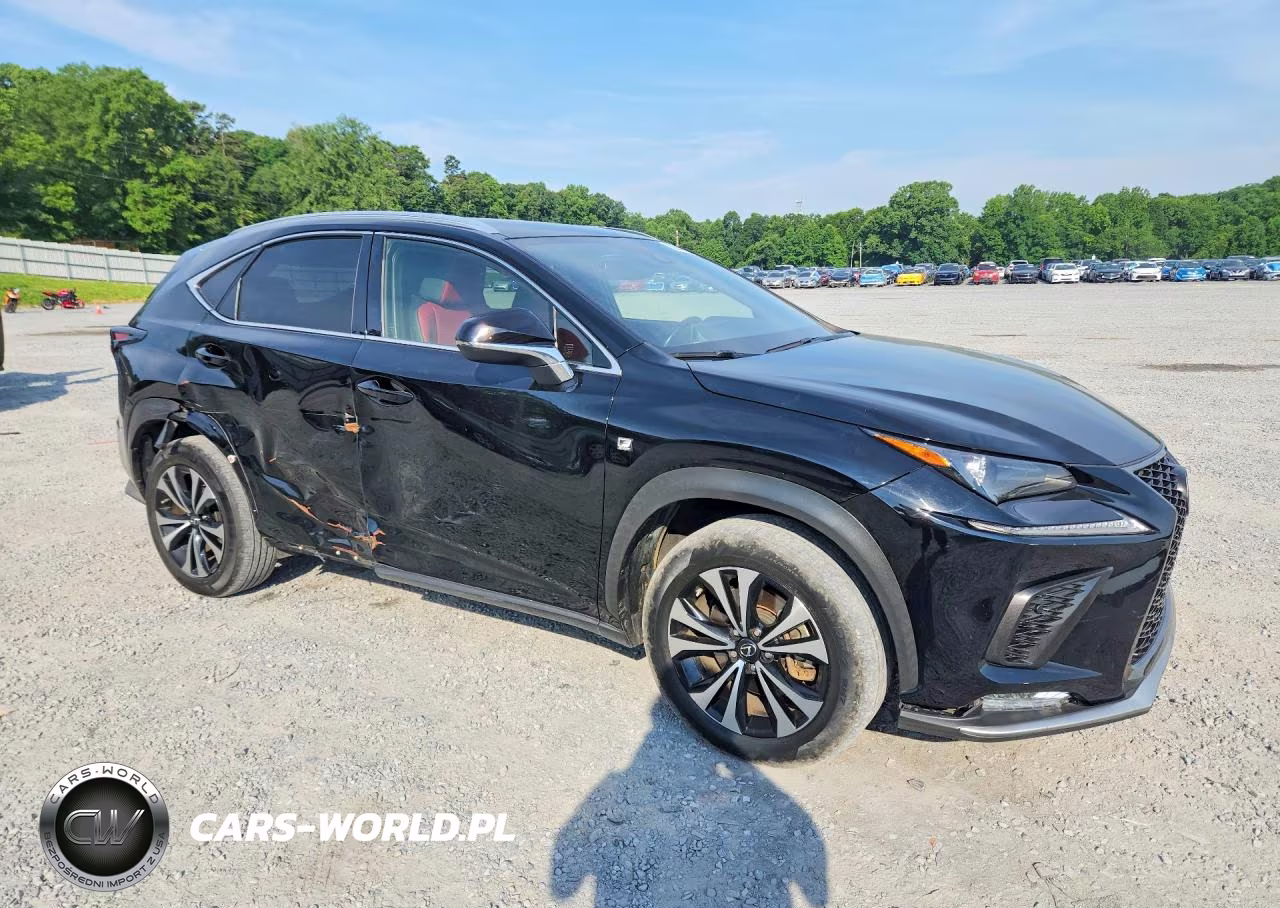 2020 Lexus Nx 300 F Sport VIN:JTJSARDZ0L5001897 - 4