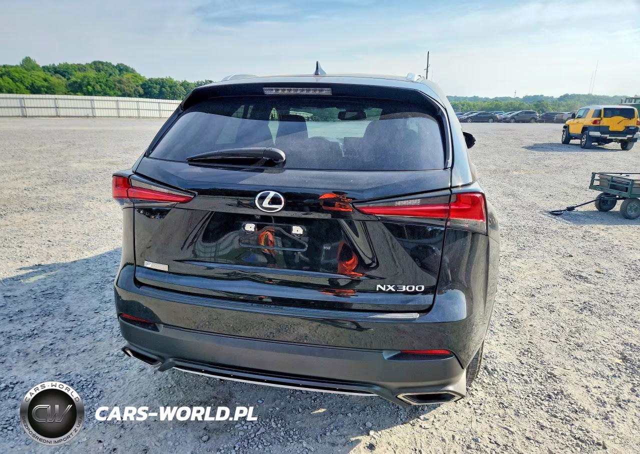 2020 Lexus Nx 300 F Sport VIN:JTJSARDZ0L5001897 - 6