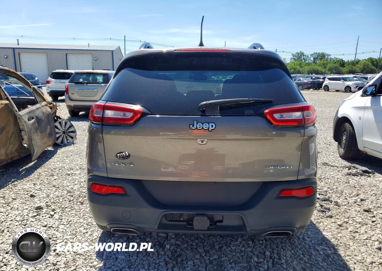 2016 Jeep Cherokee Sport VIN:1C4PJMAS3GW250911 - 6