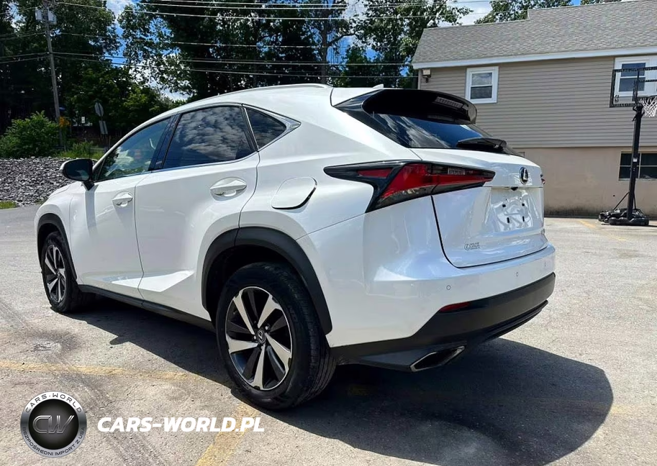 2019 Lexus Nx 300 Base VIN:JTJBARBZ4K2179699 - 2