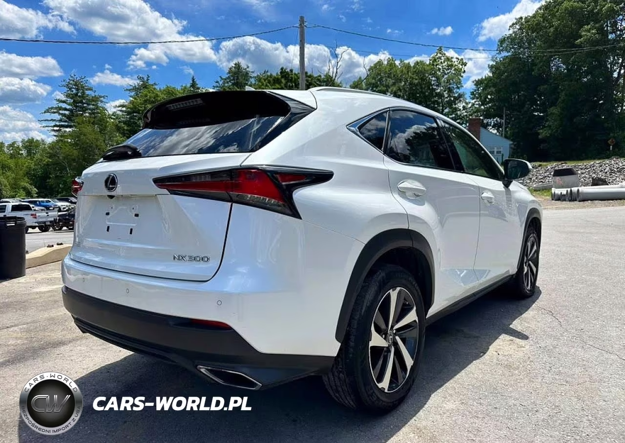 2019 Lexus Nx 300 Base VIN:JTJBARBZ4K2179699 - 3