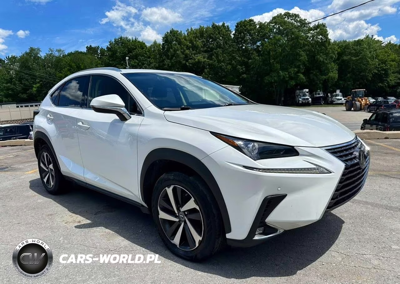 2019 Lexus Nx 300 Base VIN:JTJBARBZ4K2179699 - 4