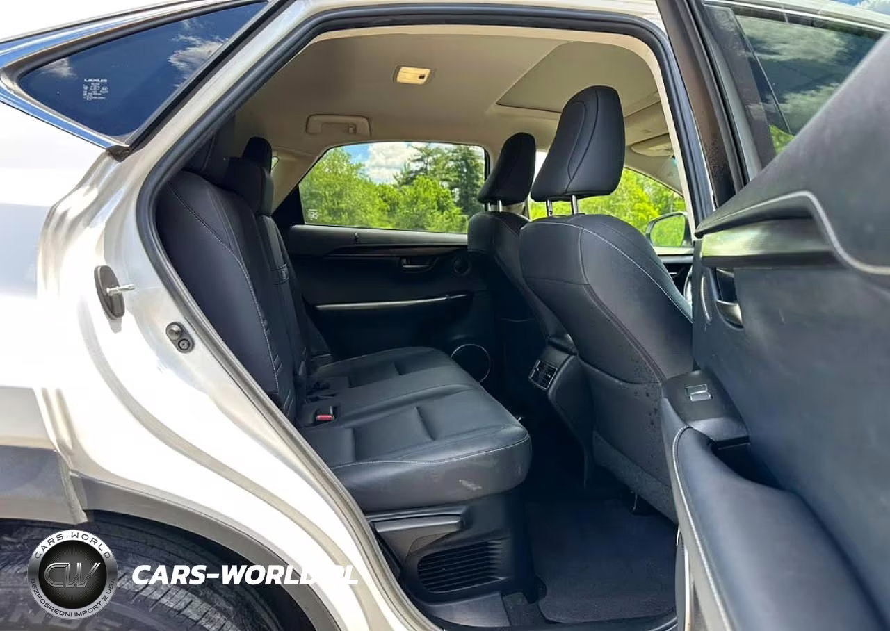 2019 Lexus Nx 300 Base VIN:JTJBARBZ4K2179699 - 6
