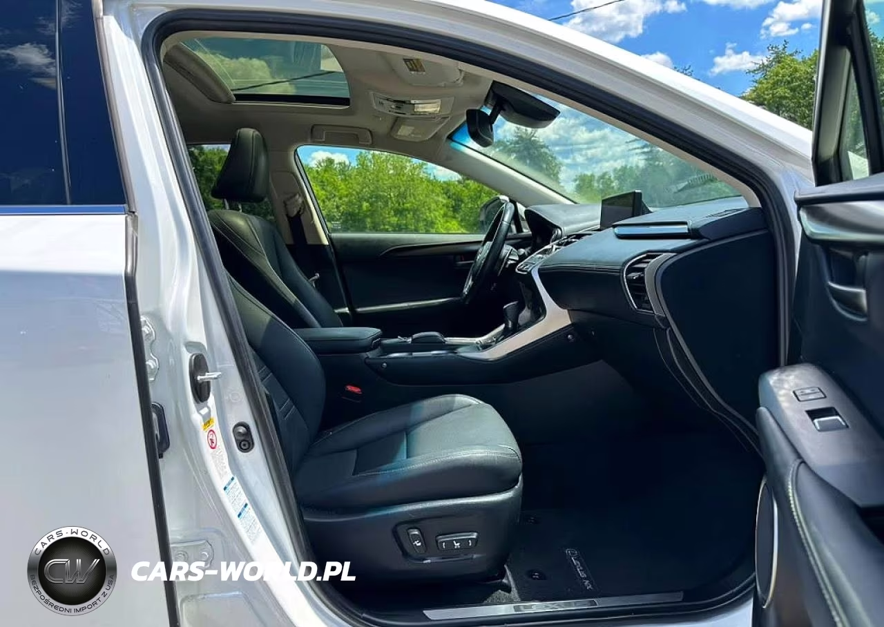 2019 Lexus Nx 300 Base VIN:JTJBARBZ4K2179699 - 8