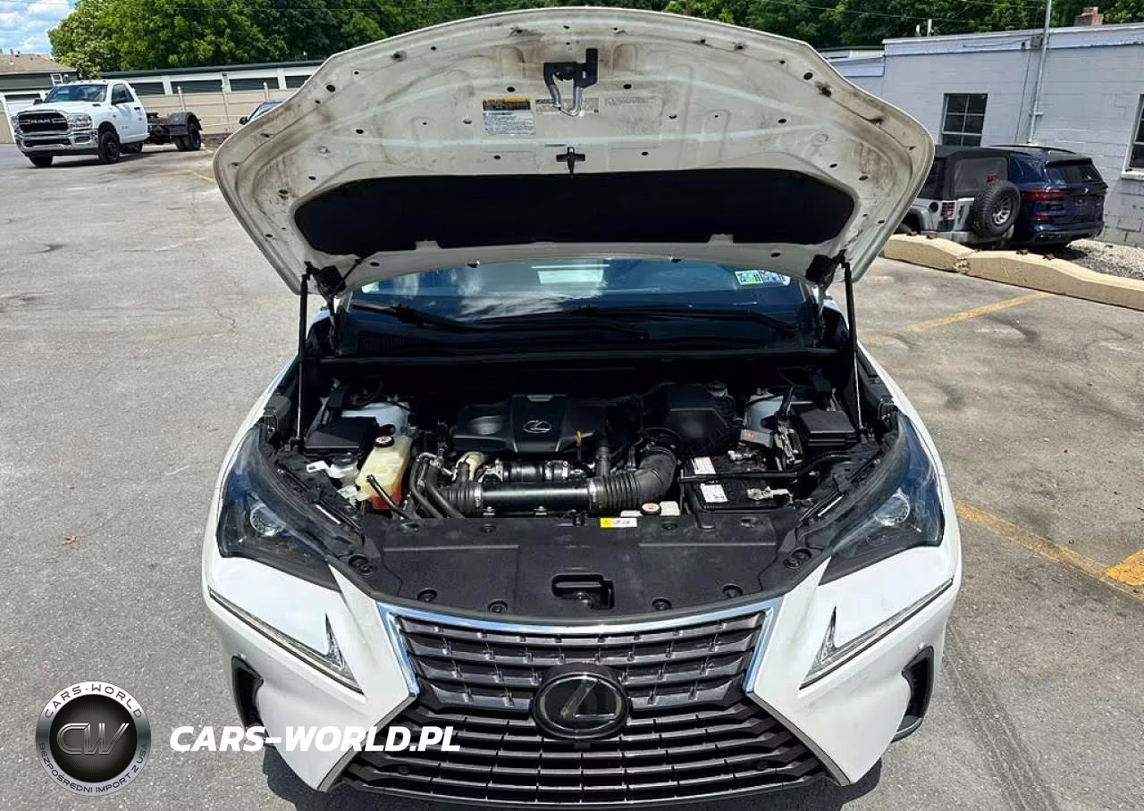 2019 Lexus Nx 300 Base VIN:JTJBARBZ4K2179699 - 9
