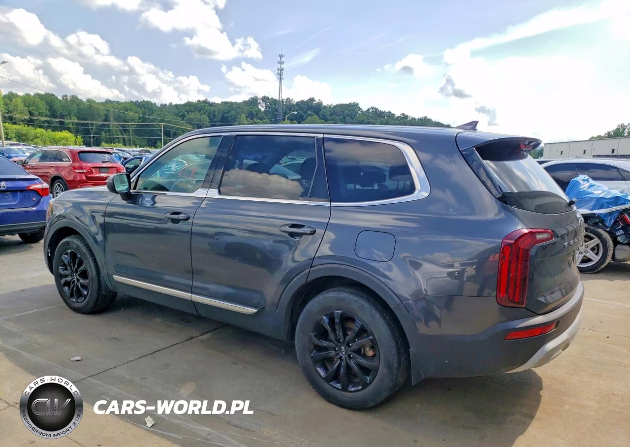 2020 Kia Telluride Lx VIN:5XYP24HC5LG007216 - 2