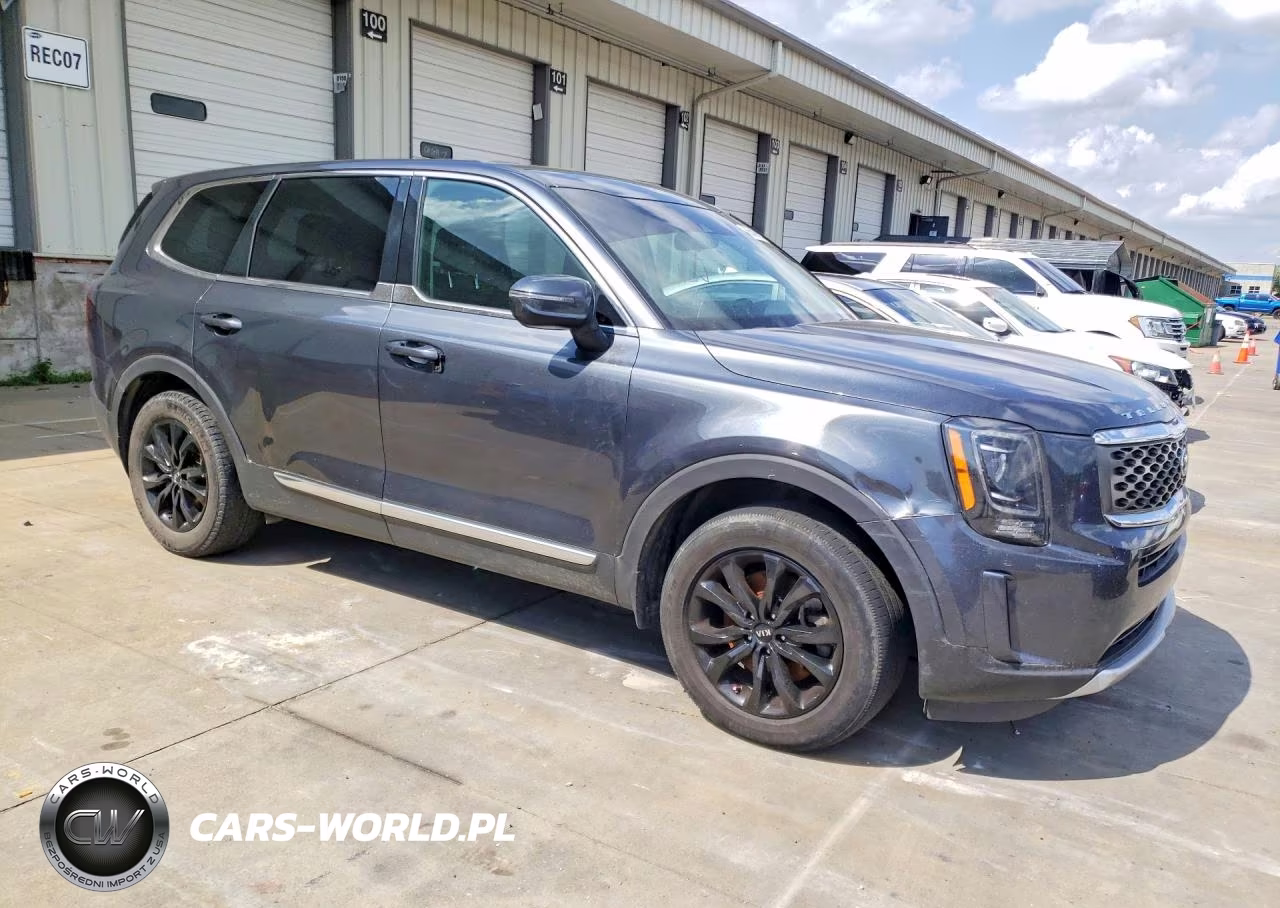 2020 Kia Telluride Lx VIN:5XYP24HC5LG007216 - 4