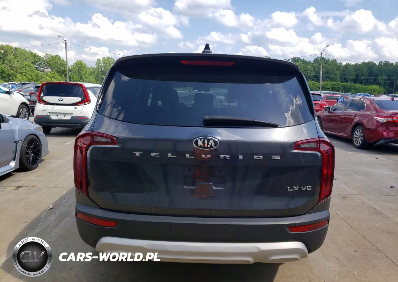 2020 Kia Telluride Lx VIN:5XYP24HC5LG007216 - 6