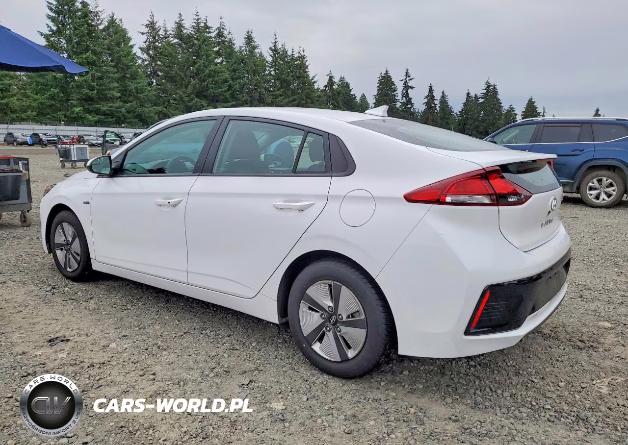 2017 Hyundai Ioniq Blue VIN:KMHC65LC2HU031295 - 2
