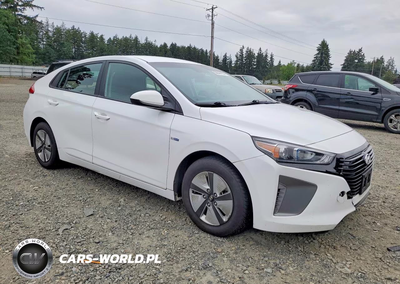 2017 Hyundai Ioniq Blue VIN:KMHC65LC2HU031295 - 4