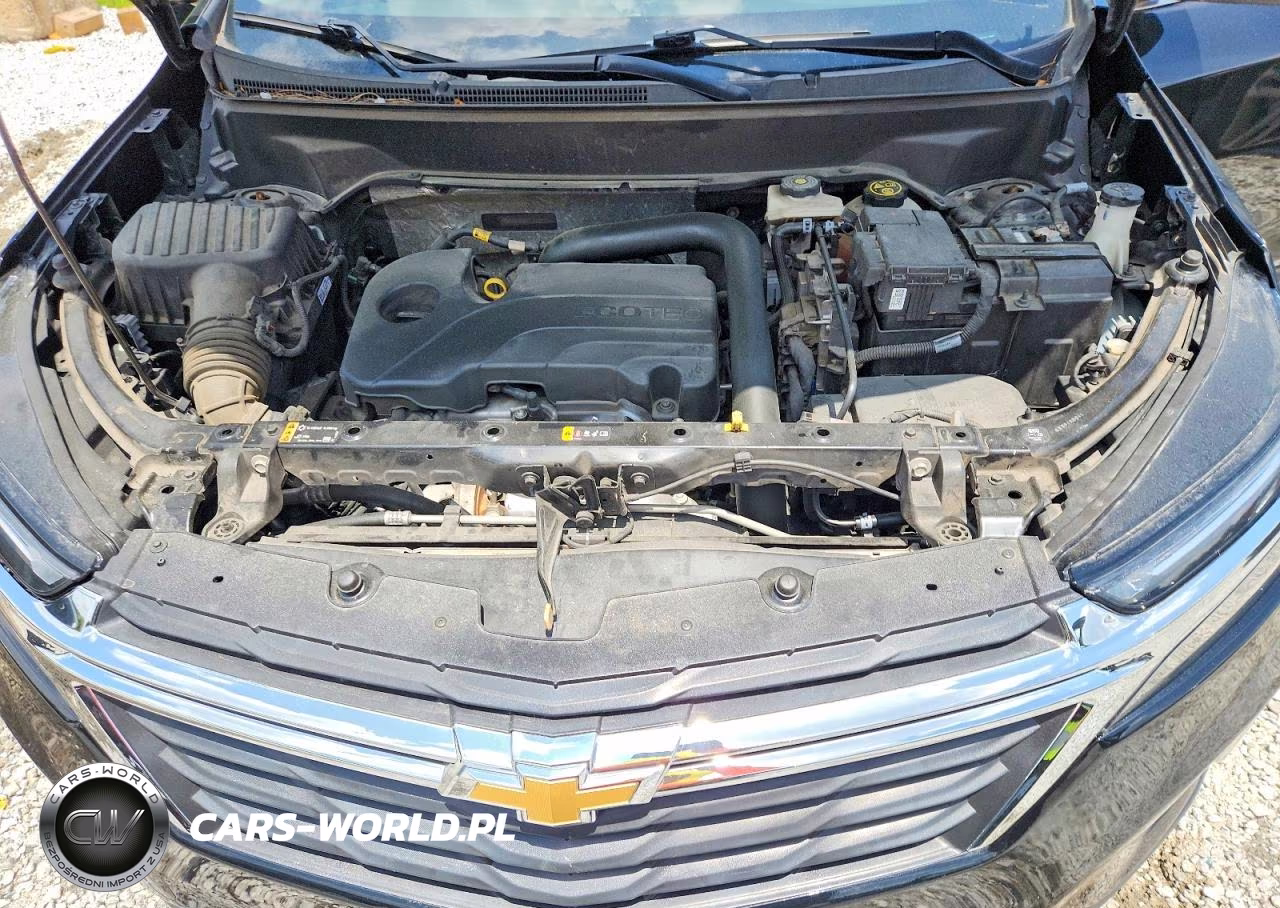 2023 Chevrolet Equinox Lt VIN:3GNAXKEG6PL222922 - 12