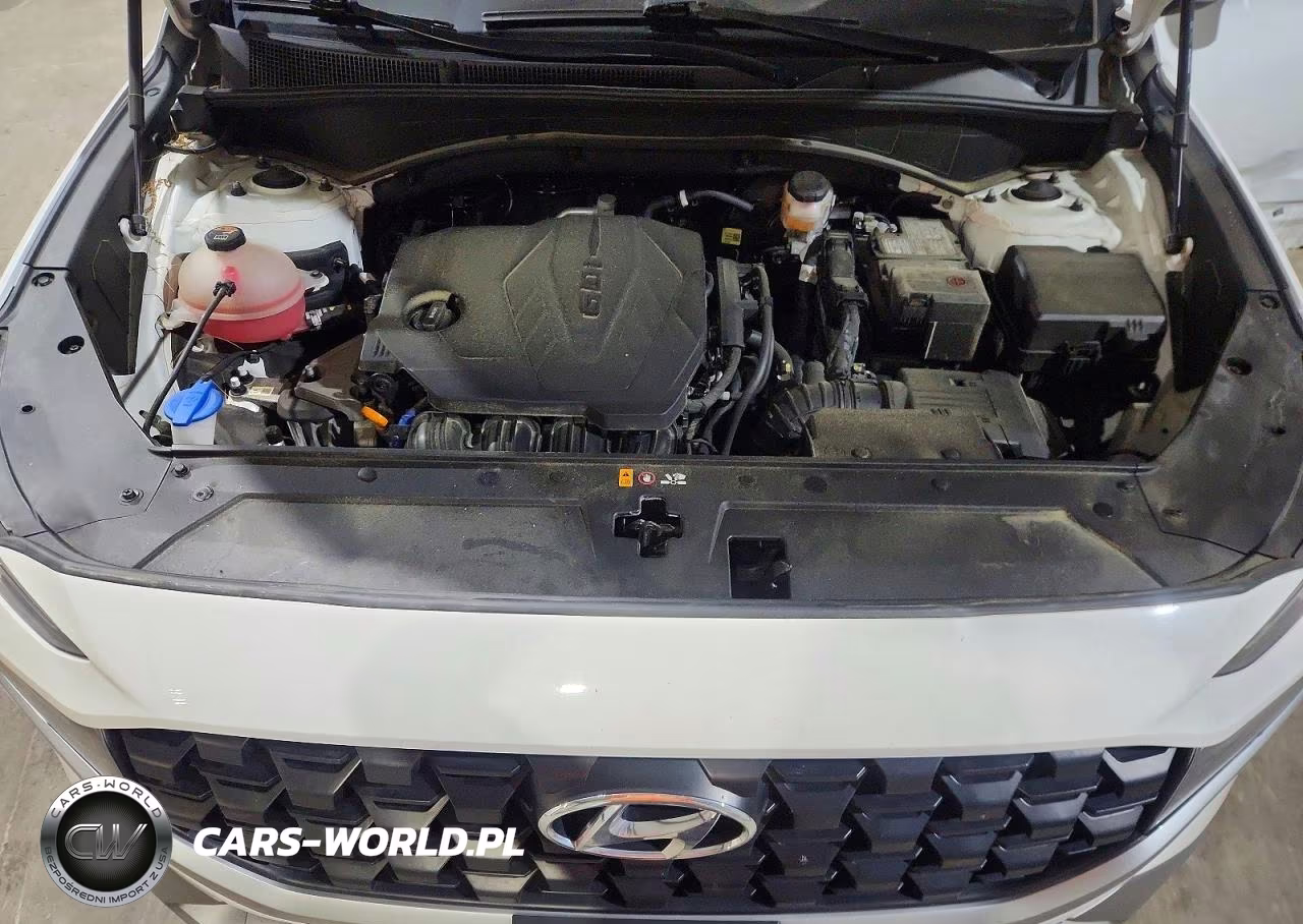 2023 Hyundai Santa Fe Sel VIN:5NMS2DAJ0PH646215 - 12