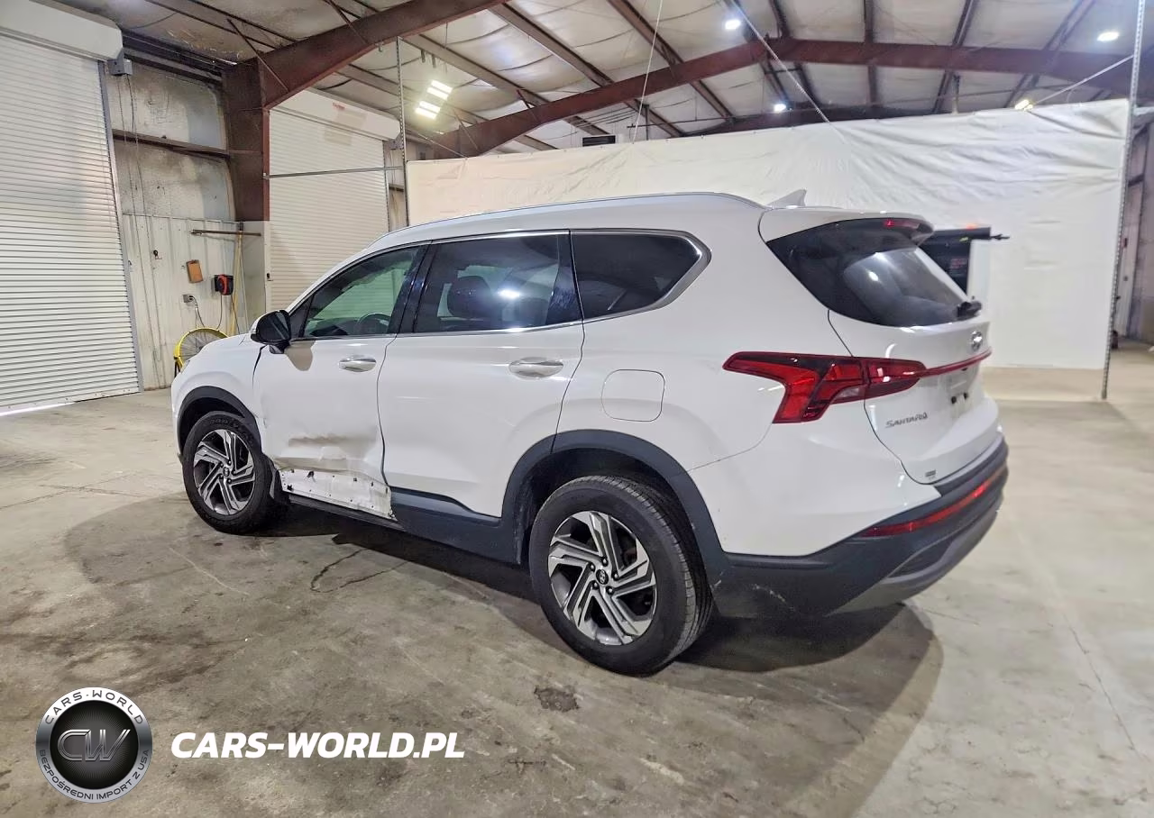 2023 Hyundai Santa Fe Sel VIN:5NMS2DAJ0PH646215 - 2
