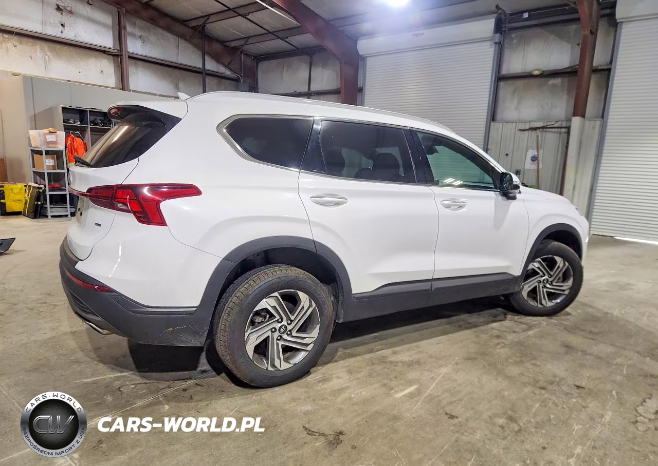 2023 Hyundai Santa Fe Sel VIN:5NMS2DAJ0PH646215 - 3