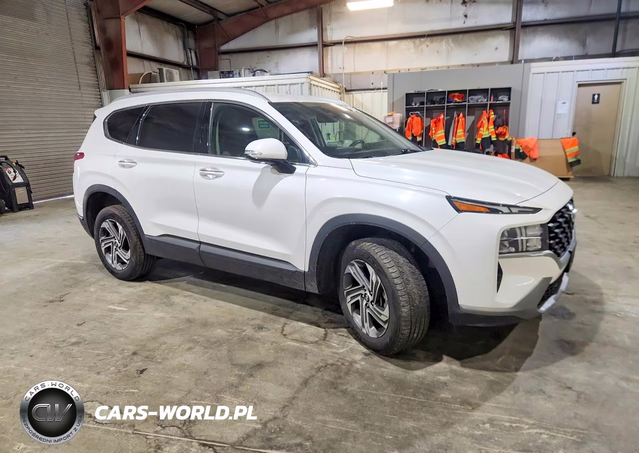 2023 Hyundai Santa Fe Sel VIN:5NMS2DAJ0PH646215 - 4