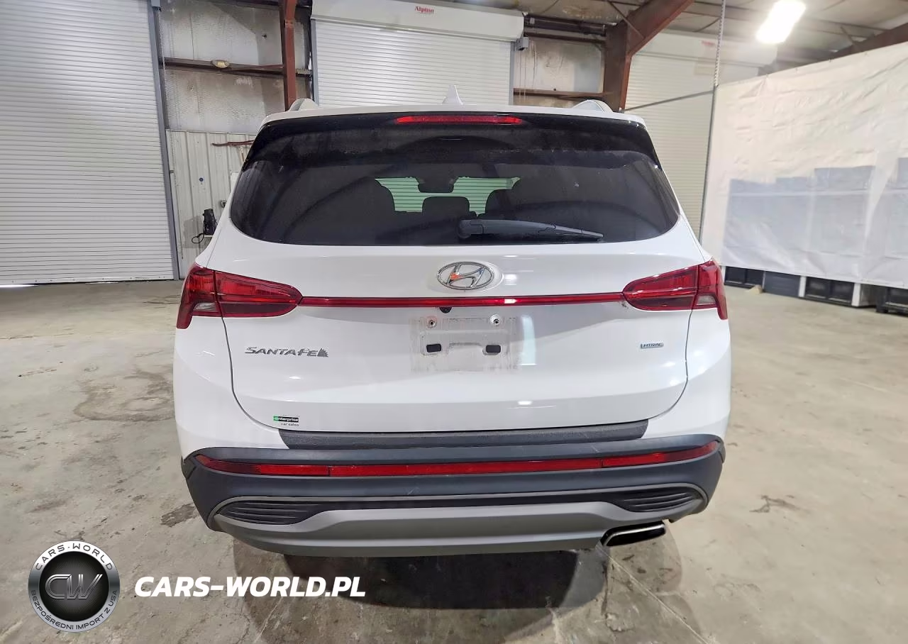 2023 Hyundai Santa Fe Sel VIN:5NMS2DAJ0PH646215 - 6