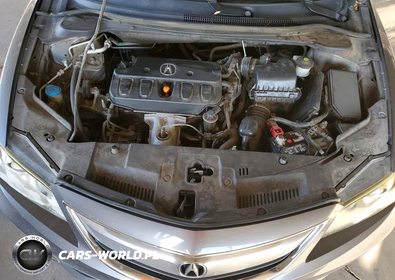 2013 Acura Ilx 20 Premium VIN:19VDE1F5XDE013498 - 11