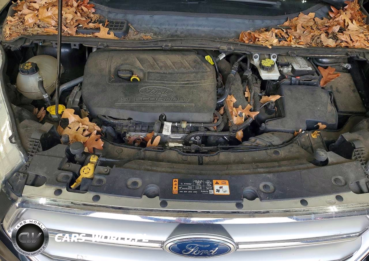 2017 Ford Escape Se VIN:1FMCU0GD7HUC07253 - 12